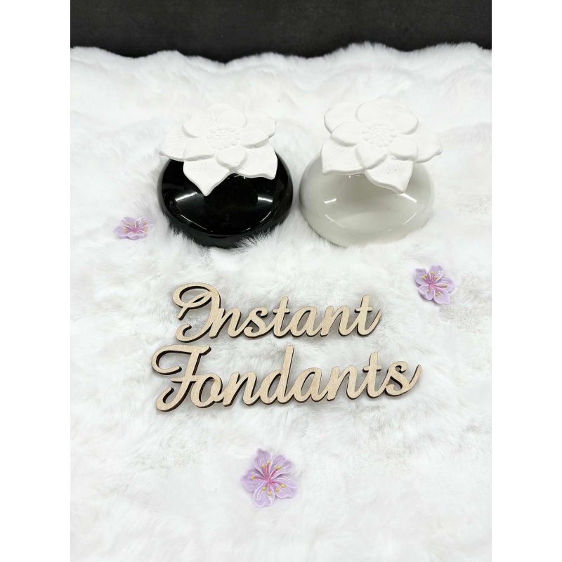 DIFFUSEUR PAR CAPILLARITÉ