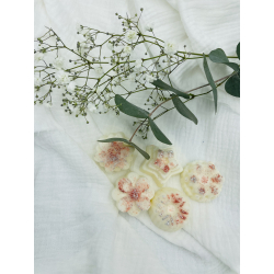 FONDANT FLEURS D'APAISEMENT