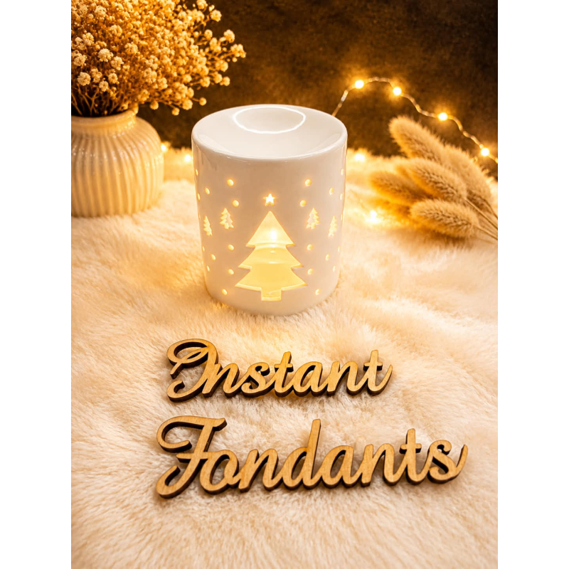 BRÛLE PARFUM SAPIN DE NOËL