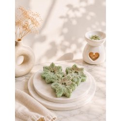 FONDANT POMME CANNELLE
