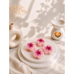 FONDANT LAIT DE RIZ & CERISIER