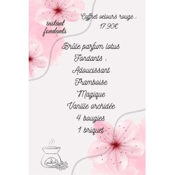 COFFRET CADEAU VELOURS ROUGE